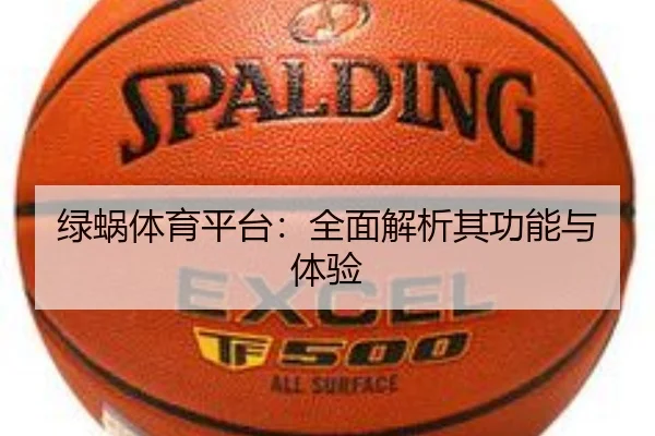 img_1781336566585_385_1_371.jpg