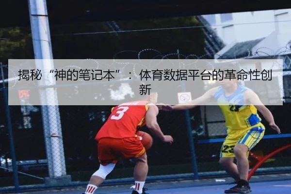 揭秘“神的笔记本”：体育数据平台的革命性创新