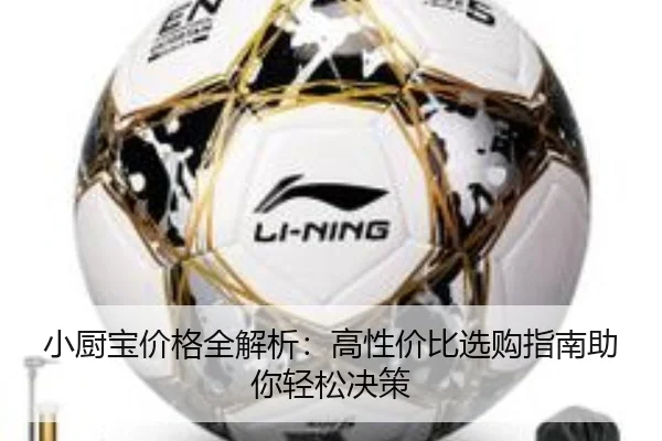 小厨宝价格全解析：高性价比选购指南助你轻松决策