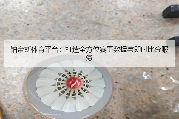 铂帝斯体育平台：打造全方位赛事数据与即时比分服务