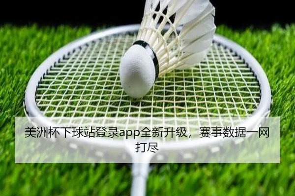 美洲杯下球站登录app全新升级，赛事数据一网打尽