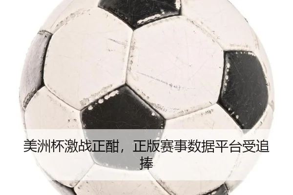 美洲杯激战正酣，正版赛事数据平台受追捧